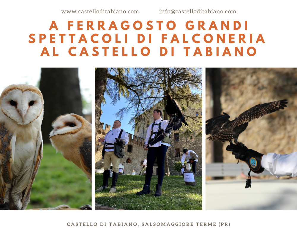 Claire picture of the event: GRANDI SPETTACOLI DI FALCONERIA - AQUILE E GUFI IN VOLO AL CASTELLO DI TABIANO